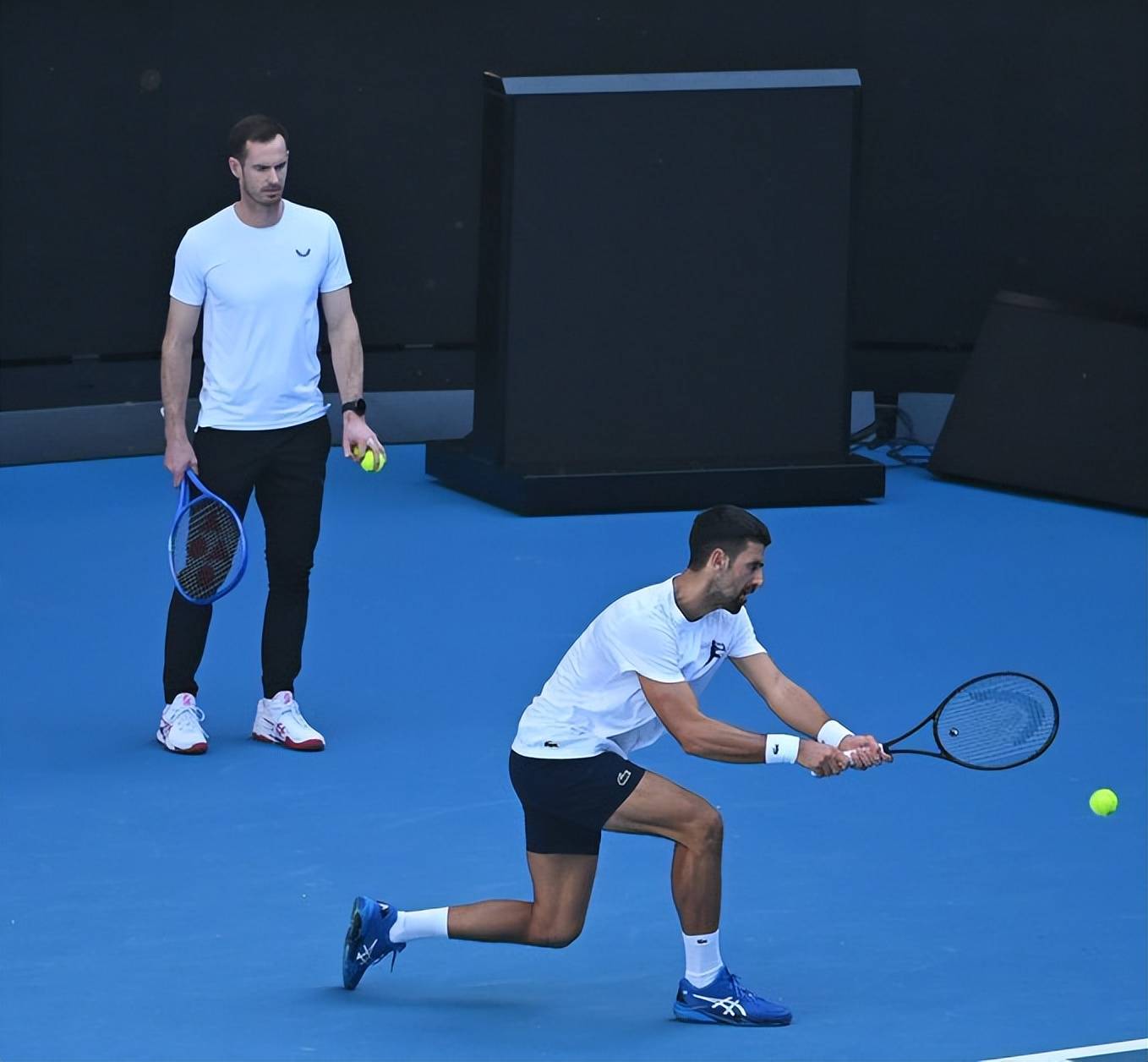 蒙特卡洛大师赛翻盘戴维斯杯，穆雷惊艳四座