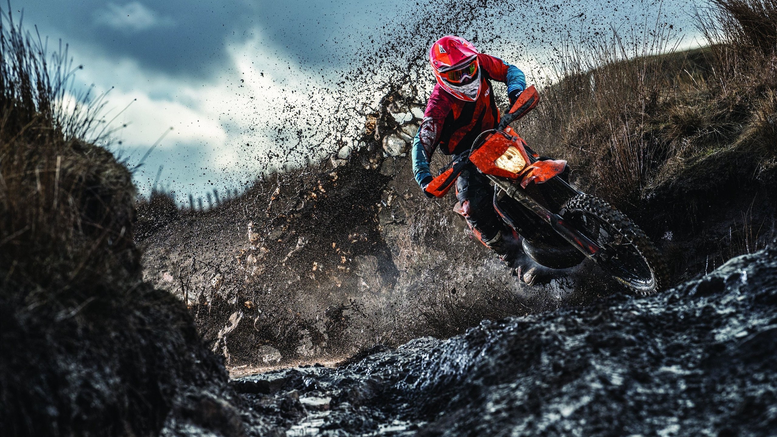 约基奇稳定如钟,老鹰逆转风暴,当不变遇见剧变